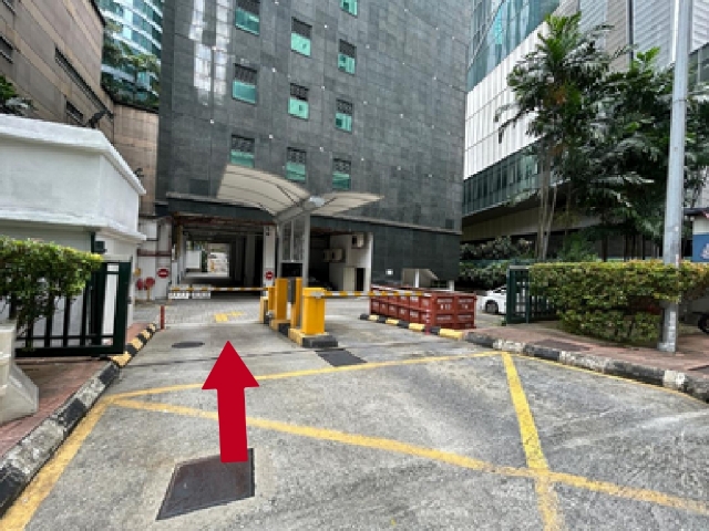 Parking Back 6